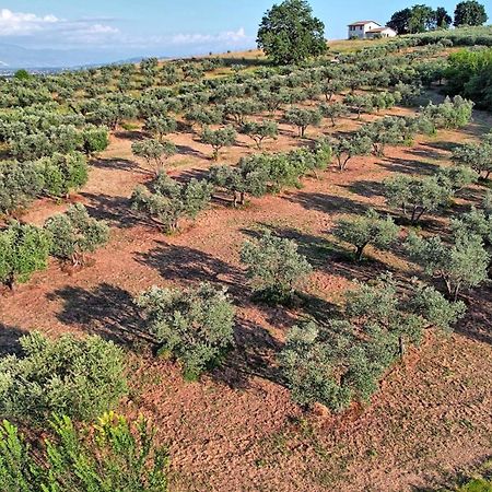 Agriturismo Incanto Della Natura Cannara Buitenkant foto